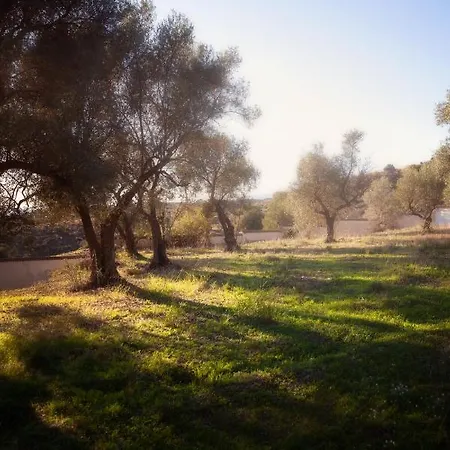 Casa vacanze Palmers Dos Mijas